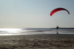 DSCN0696