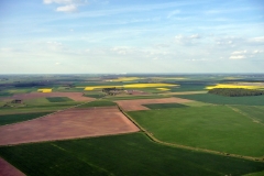 P1010453
