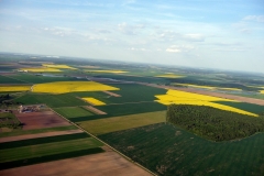 P1010454