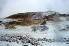 P1040332